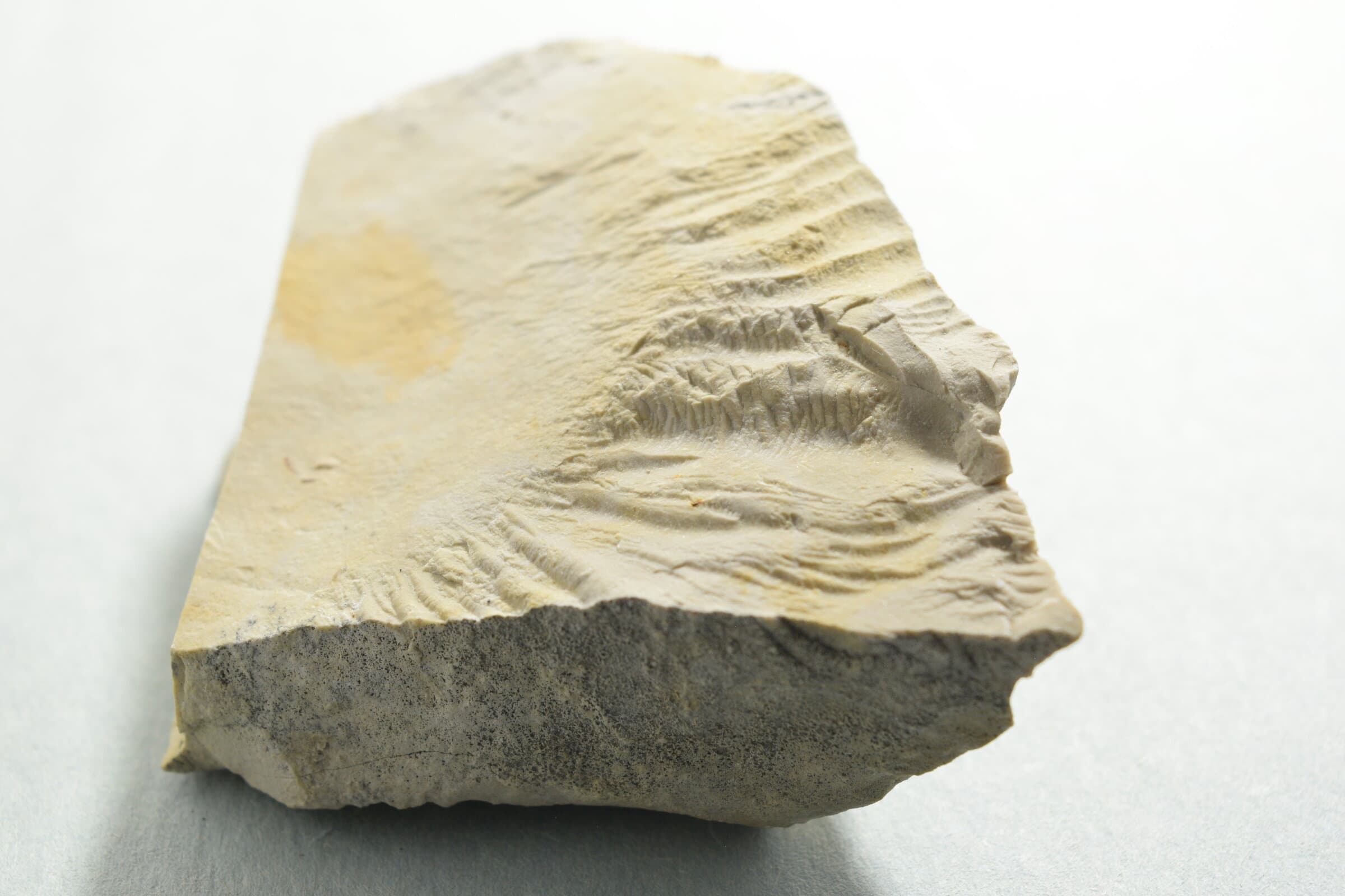 Sierra Madera Shatter Cone - 143g main photo