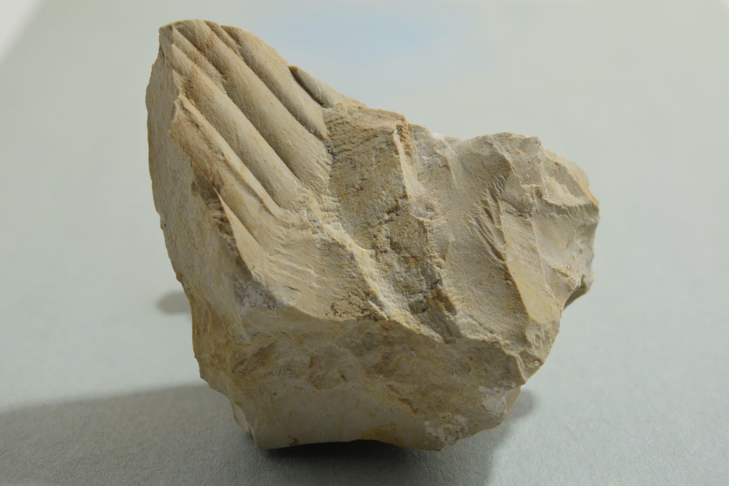 Sierra Madera Shatter Cone - 170g main photo