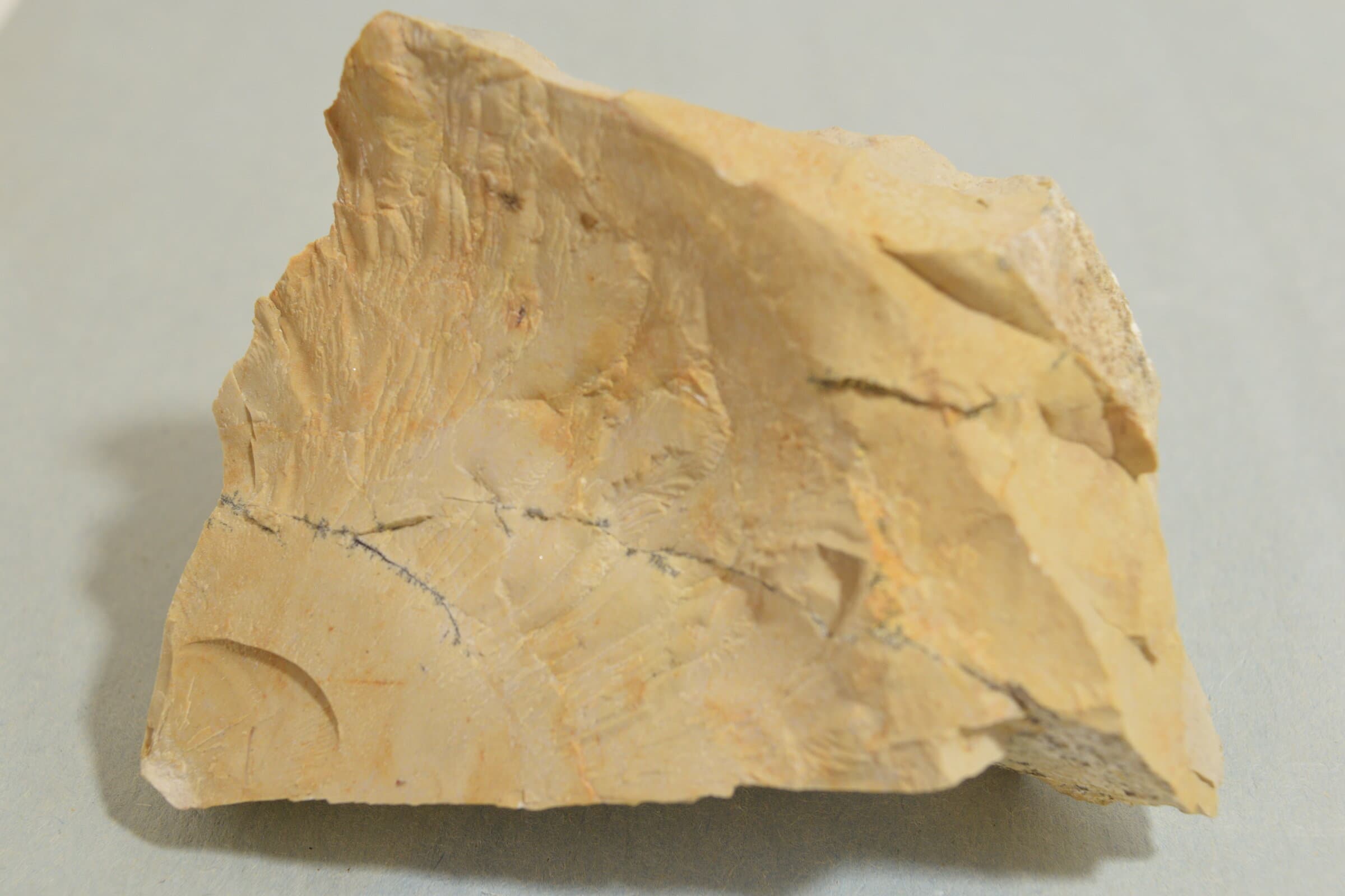 Sierra Madera Shatter Cone - 190g main photo